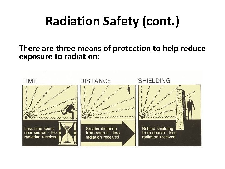 Radiation Safety (cont. ) There are three means of protection to help reduce exposure