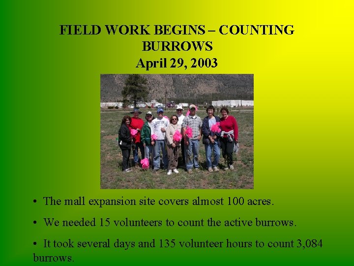 FIELD WORK BEGINS – COUNTING BURROWS April 29, 2003 • The mall expansion site