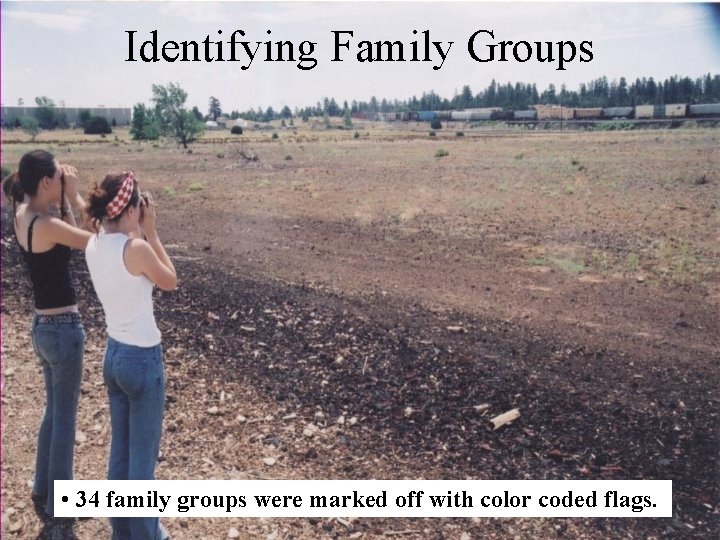 Identifying Family Groups • 34 family groups were marked off with color coded flags.