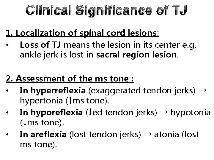 Clinical Significance of TJ 1. Localization of spinal cord lesions: • Loss of TJ