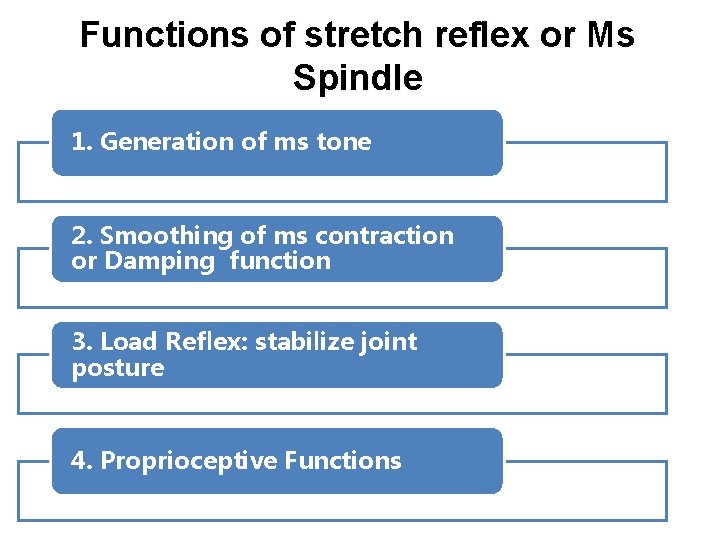 Functions of stretch reflex or Ms Spindle 1. Generation of ms tone 2. Smoothing