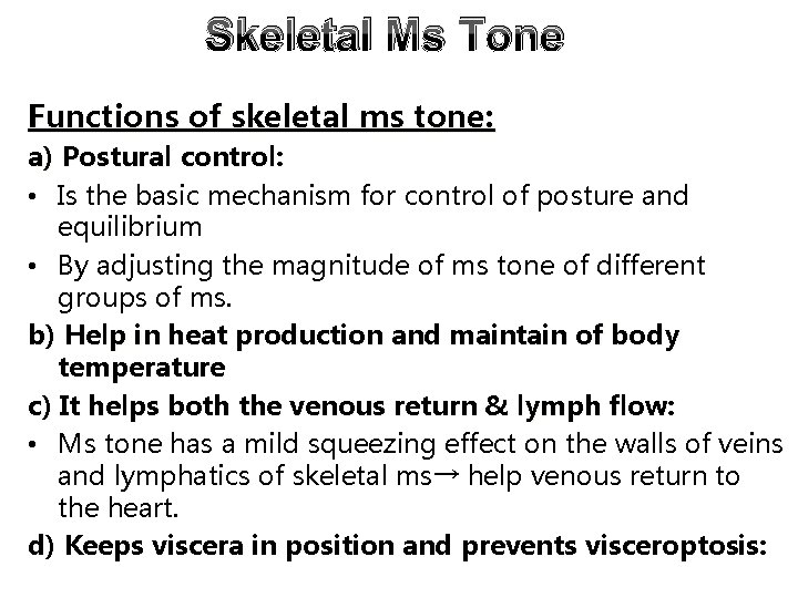 Skeletal Ms Tone Functions of skeletal ms tone: a) Postural control: • Is the Skeletal Ms Tone Functions of skeletal ms tone: a) Postural control: • Is the