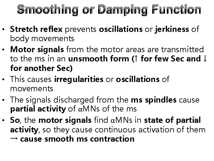 Smoothing or Damping Function • Stretch reflex prevents oscillations or jerkiness of body movements Smoothing or Damping Function • Stretch reflex prevents oscillations or jerkiness of body movements
