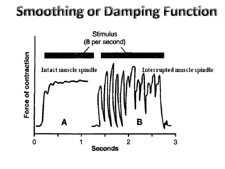 Smoothing or Damping Function 