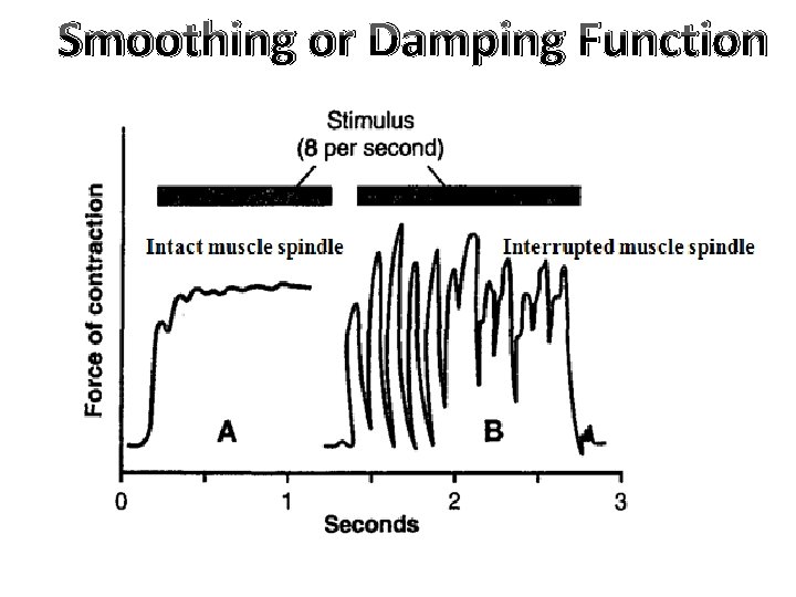 Smoothing or Damping Function Smoothing or Damping Function