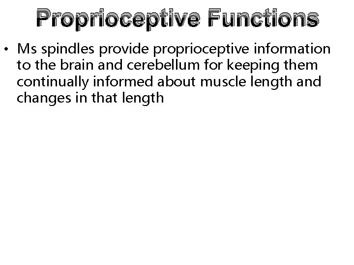 Proprioceptive Functions • Ms spindles provide proprioceptive information to the brain and cerebellum for Proprioceptive Functions • Ms spindles provide proprioceptive information to the brain and cerebellum for