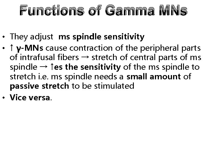 Functions of Gamma MNs • They adjust ms spindle sensitivity • ↑ γ-MNs cause