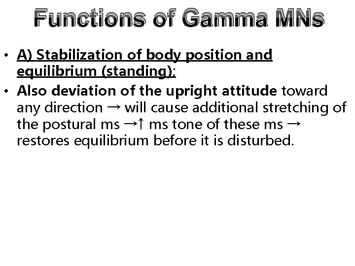 Functions of Gamma MNs • A) Stabilization of body position and equilibrium (standing); • Functions of Gamma MNs • A) Stabilization of body position and equilibrium (standing); •