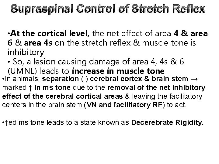 Supraspinal Control of Stretch Reflex • At the cortical level, the net effect of