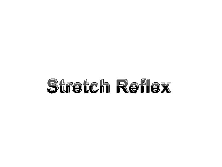 Stretch Reflex Stretch Reflex