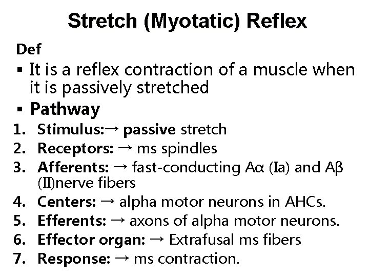 Stretch (Myotatic) Reflex Def It is a reflex contraction of a muscle when it Stretch (Myotatic) Reflex Def It is a reflex contraction of a muscle when it