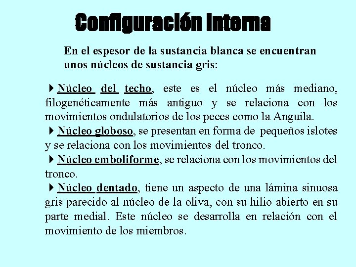 Configuración interna En el espesor de la sustancia blanca se encuentran unos núcleos de