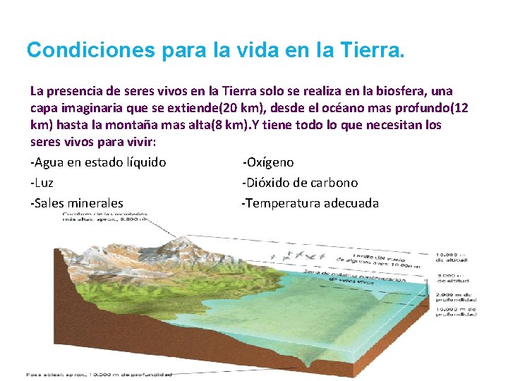 Condiciones para la vida en la Tierra. La presencia de seres vivos en la