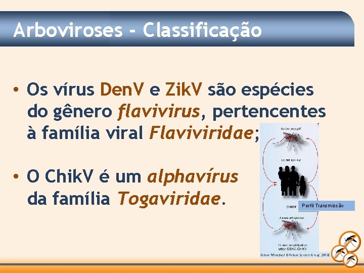 Arboviroses - Classificação • Os vírus Den. V e Zik. V são espécies do