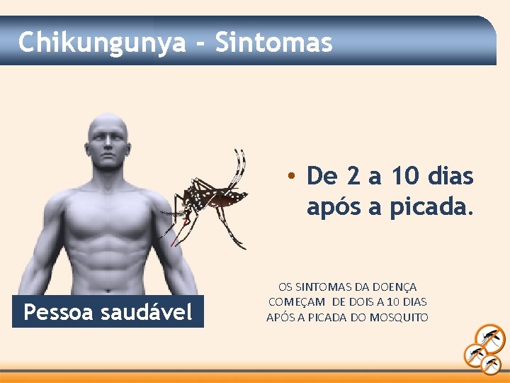 Chikungunya - Sintomas • De 2 a 10 dias após a picada. Pessoa saudável