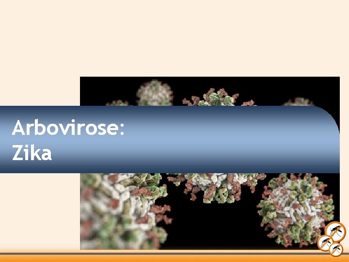 Arbovirose: Zika 