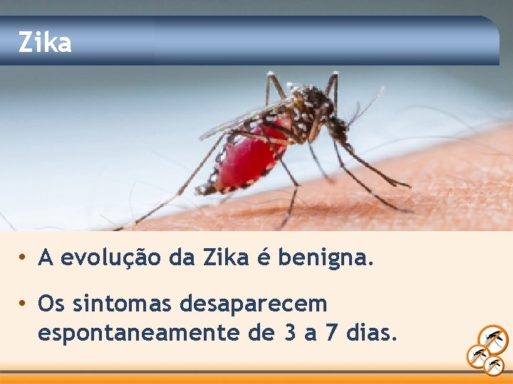 Zika • A evolução da Zika é benigna. • Os sintomas desaparecem espontaneamente de