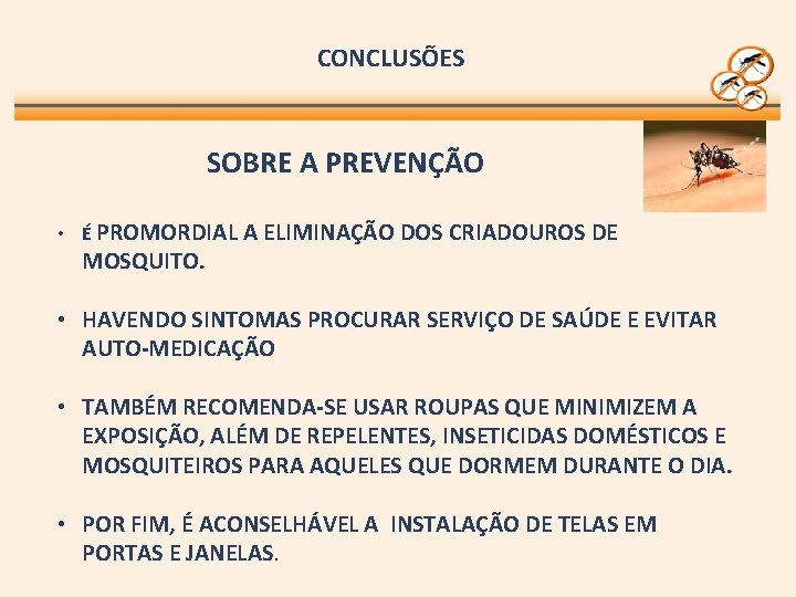 CONCLUSÕES SOBRE A PREVENÇÃO • É PROMORDIAL A ELIMINAÇÃO DOS CRIADOUROS DE MOSQUITO. •