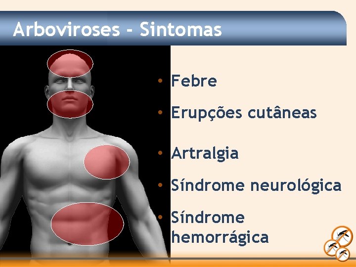 Arboviroses - Sintomas • Febre • Erupções cutâneas • Artralgia • Síndrome neurológica •