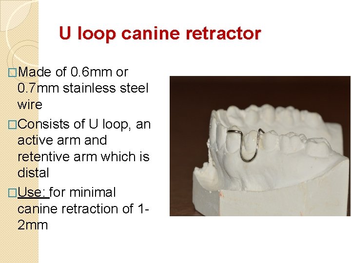U loop canine retractor �Made of 0. 6 mm or 0. 7 mm stainless