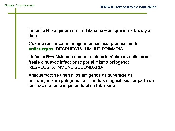 Biología. Curso de acceso TEMA 8. Homeostasis e inmunidad Linfocito B: se genera en