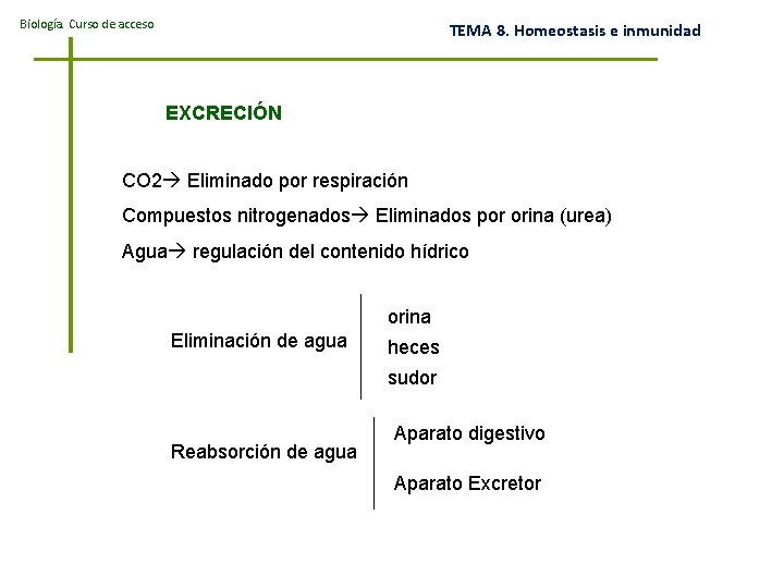 Biología. Curso de acceso TEMA 8. Homeostasis e inmunidad EXCRECIÓN CO 2 Eliminado por