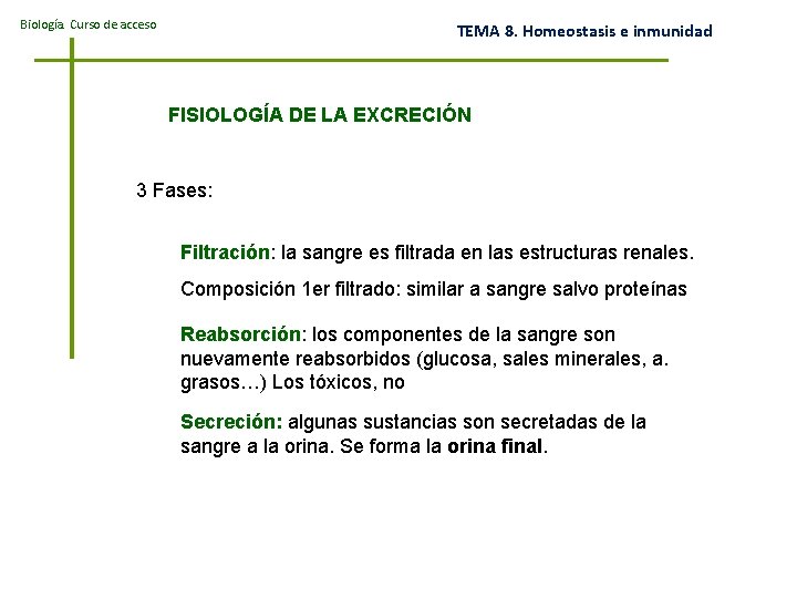 Biología. Curso de acceso TEMA 8. Homeostasis e inmunidad FISIOLOGÍA DE LA EXCRECIÓN 3