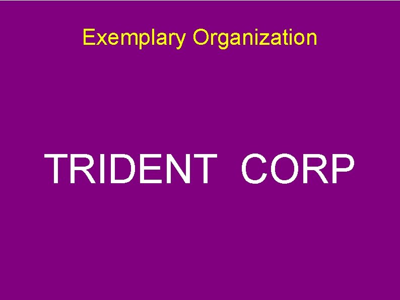 Exemplary Organization TRIDENT CORP 