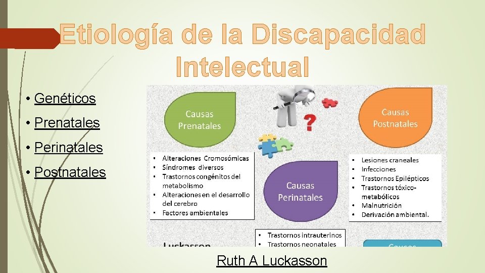 Etiología de la Discapacidad Intelectual • Genéticos • Prenatales • Perinatales • Postnatales Ruth