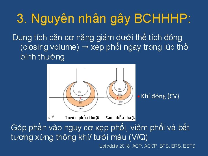 3. Nguyên nhân gây BCHHHP: Dung tích cặn cơ năng giảm dưới thể tích