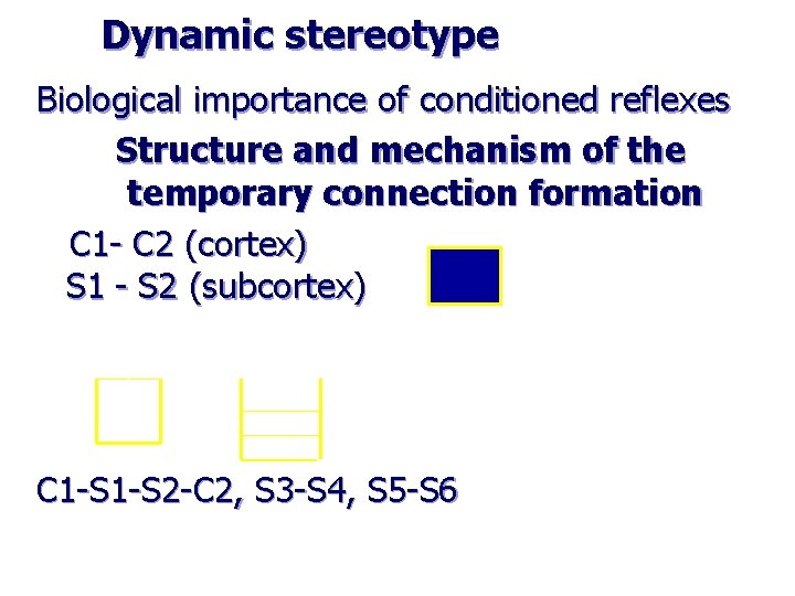 Dynamic stereotype Biological importance of conditioned reflexes Structure and mechanism of the temporary connection