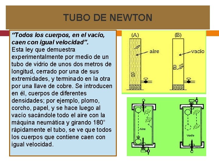 TUBO DE NEWTON “Todos los cuerpos, en el vacío, caen con igual velocidad”. Esta