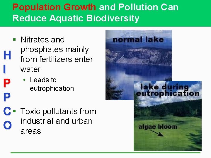 Population Growth and Pollution Can Reduce Aquatic Biodiversity § Nitrates and phosphates mainly H