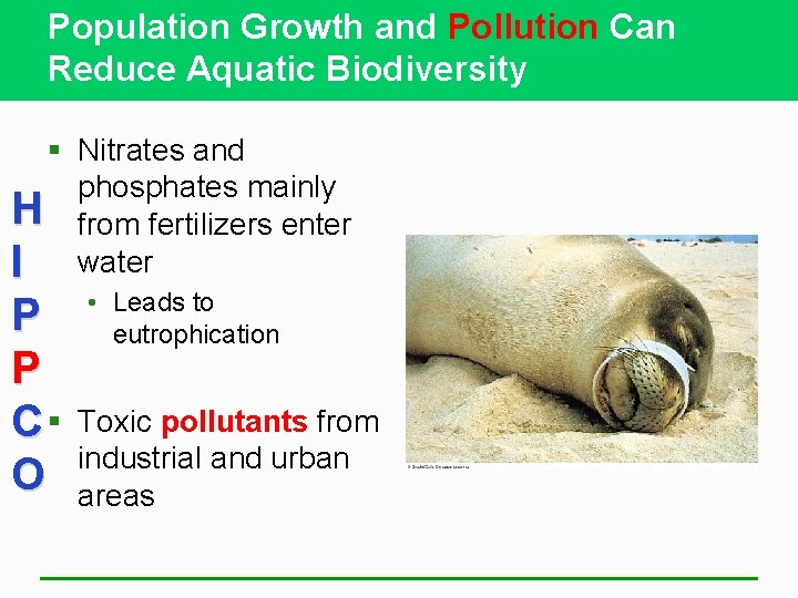 Population Growth and Pollution Can Reduce Aquatic Biodiversity § Nitrates and phosphates mainly H