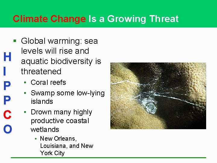 Climate Change Is a Growing Threat § Global warming: sea levels will rise and