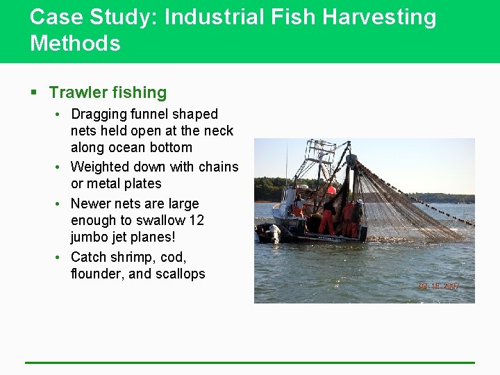 Case Study: Industrial Fish Harvesting Methods § Trawler fishing • Dragging funnel shaped nets