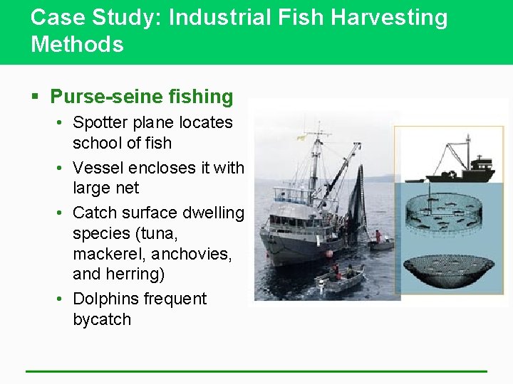 Case Study: Industrial Fish Harvesting Methods § Purse-seine fishing • Spotter plane locates school