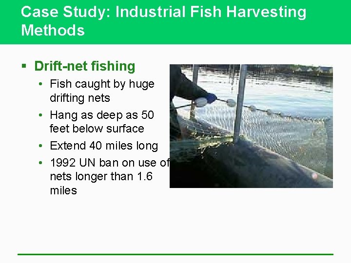 Case Study: Industrial Fish Harvesting Methods § Drift-net fishing • Fish caught by huge