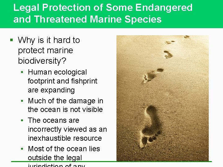 Legal Protection of Some Endangered and Threatened Marine Species § Why is it hard