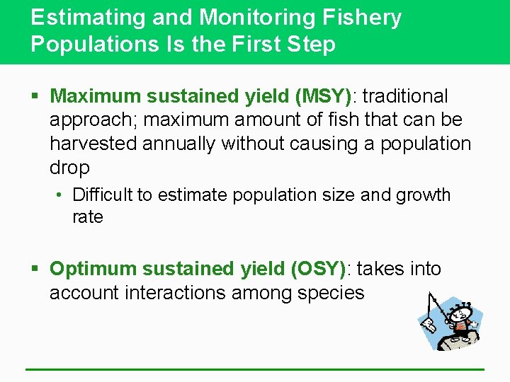 Estimating and Monitoring Fishery Populations Is the First Step § Maximum sustained yield (MSY):