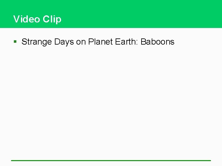 Video Clip § Strange Days on Planet Earth: Baboons 