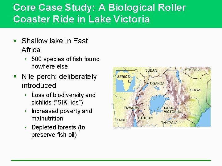 Core Case Study: A Biological Roller Coaster Ride in Lake Victoria § Shallow lake