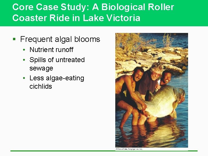 Core Case Study: A Biological Roller Coaster Ride in Lake Victoria § Frequent algal