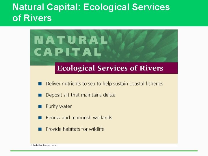 Natural Capital: Ecological Services of Rivers 