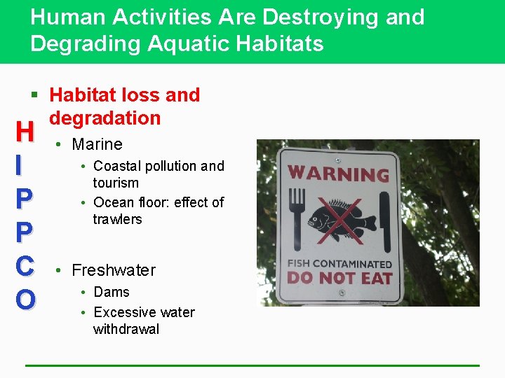 Human Activities Are Destroying and Degrading Aquatic Habitats § Habitat loss and degradation H