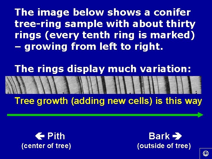 The image below shows a conifer tree-ring sample with about thirty rings (every tenth