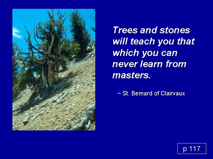 Trees and stones will teach you that which you can never learn from masters.