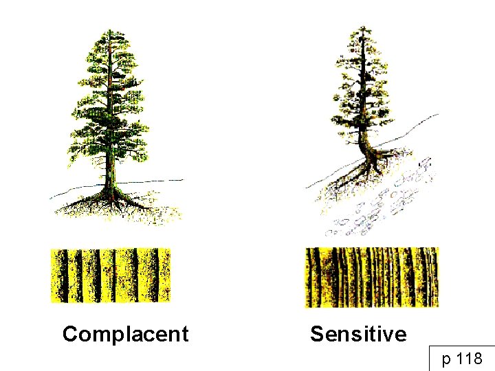 Complacent Sensitive p 118 