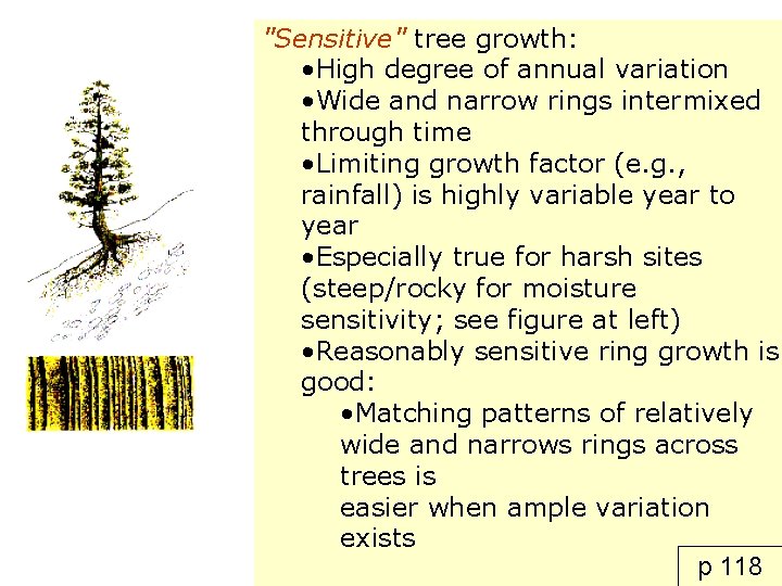 "Sensitive" tree growth: • High degree of annual variation • Wide and narrow rings