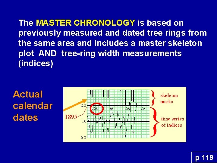 The MASTER CHRONOLOGY is based on previously measured and dated tree rings from the